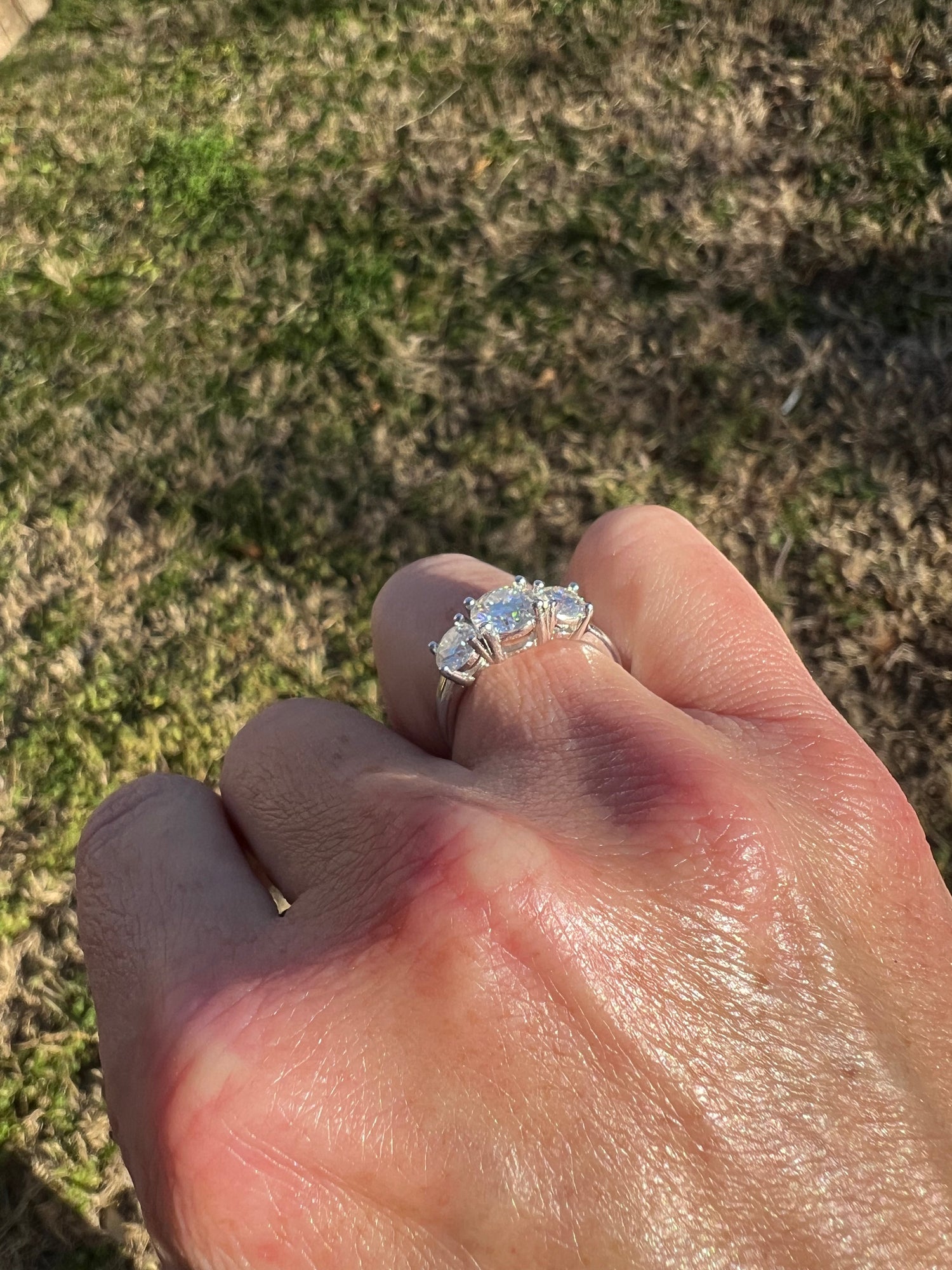 Erin 2 CTW DEW Three-Stone Moissanite Anniversary Band